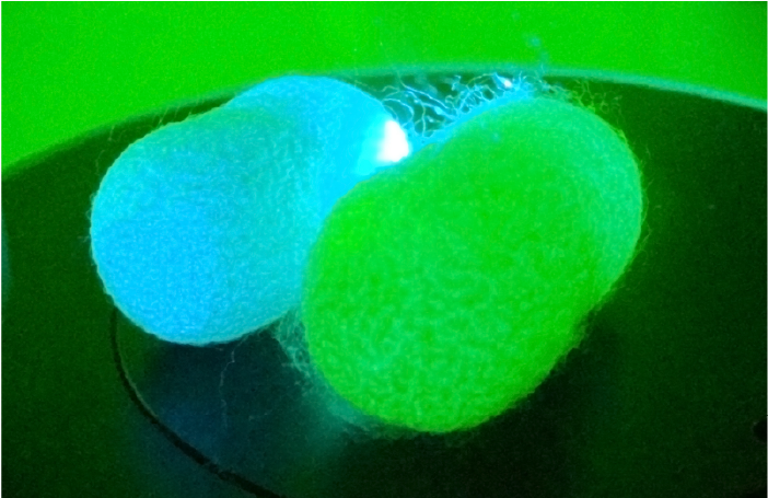 Seda de tela de araña