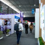 La-feria-4